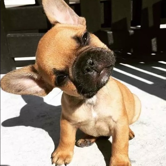 Meet your Posher, Raymond - Picture 1 of 1